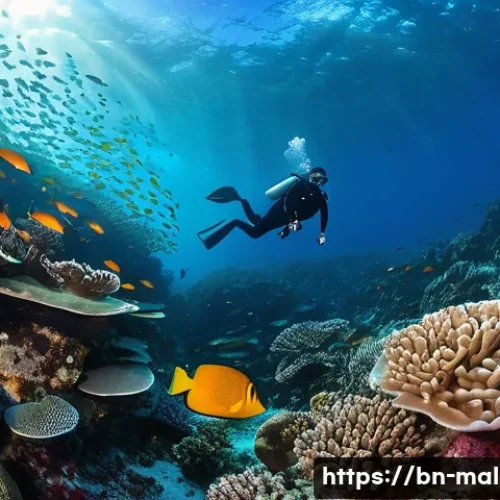 Home 11 몰디브 다이빙 포인트 - **"Vibrant Maldivian Coral Reef Exploration"**
An underwater wide-angle shot of a diverse and ex...
