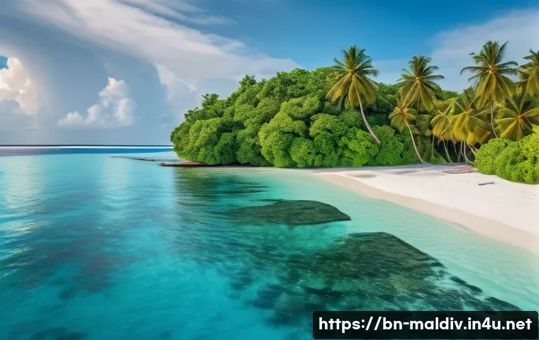 몰디브의 독특한 전설 관련 이미지 1